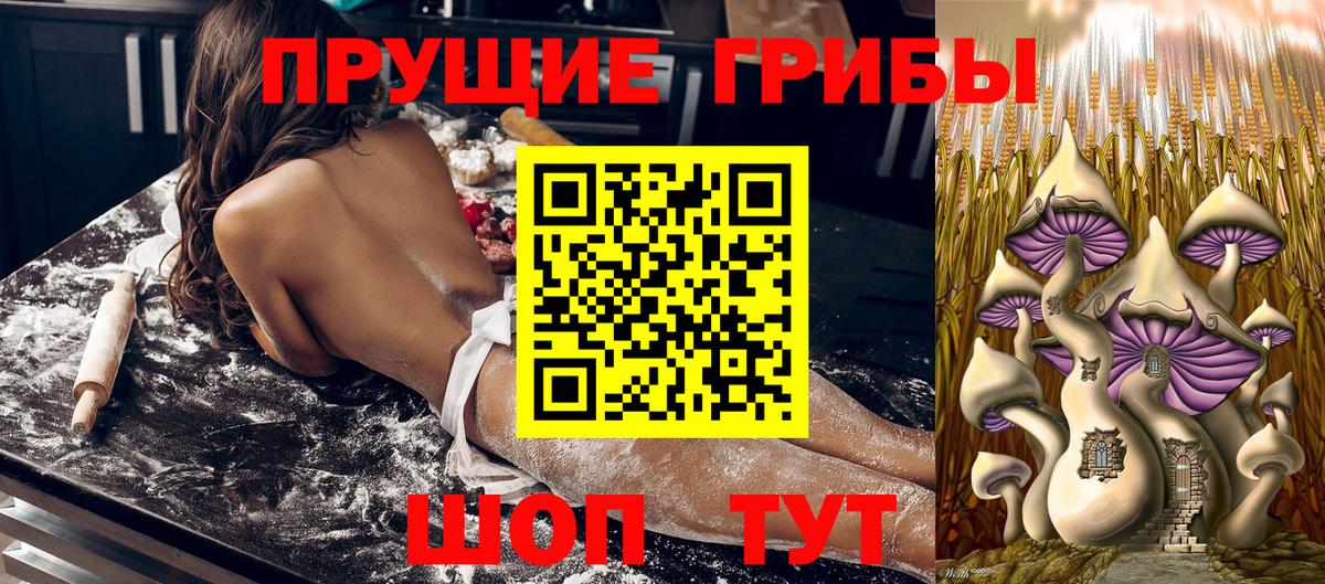 наркотики  Псилоцибиновые грибы Psilocybine cubensis  Вход с VPN  Ярославль 